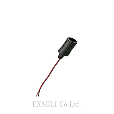 SK-P61