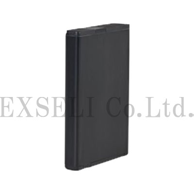 BT000593A01
