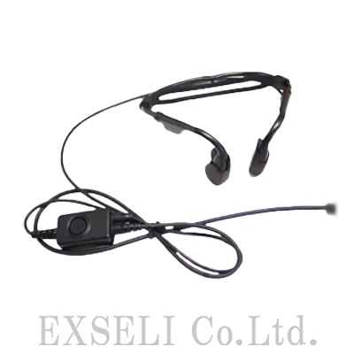 BMS-01