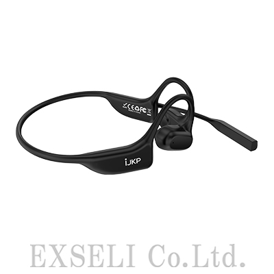 IJKP-HM-01-SW
